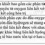 Tính Chất Của Nước Khoáng Có Thể Thay Đổi Hay Không Tại Sao