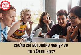 Tư Vấn Du Học Vinamex Tuyển Dụng 2024 Tphcm Mới Nhất Pdf